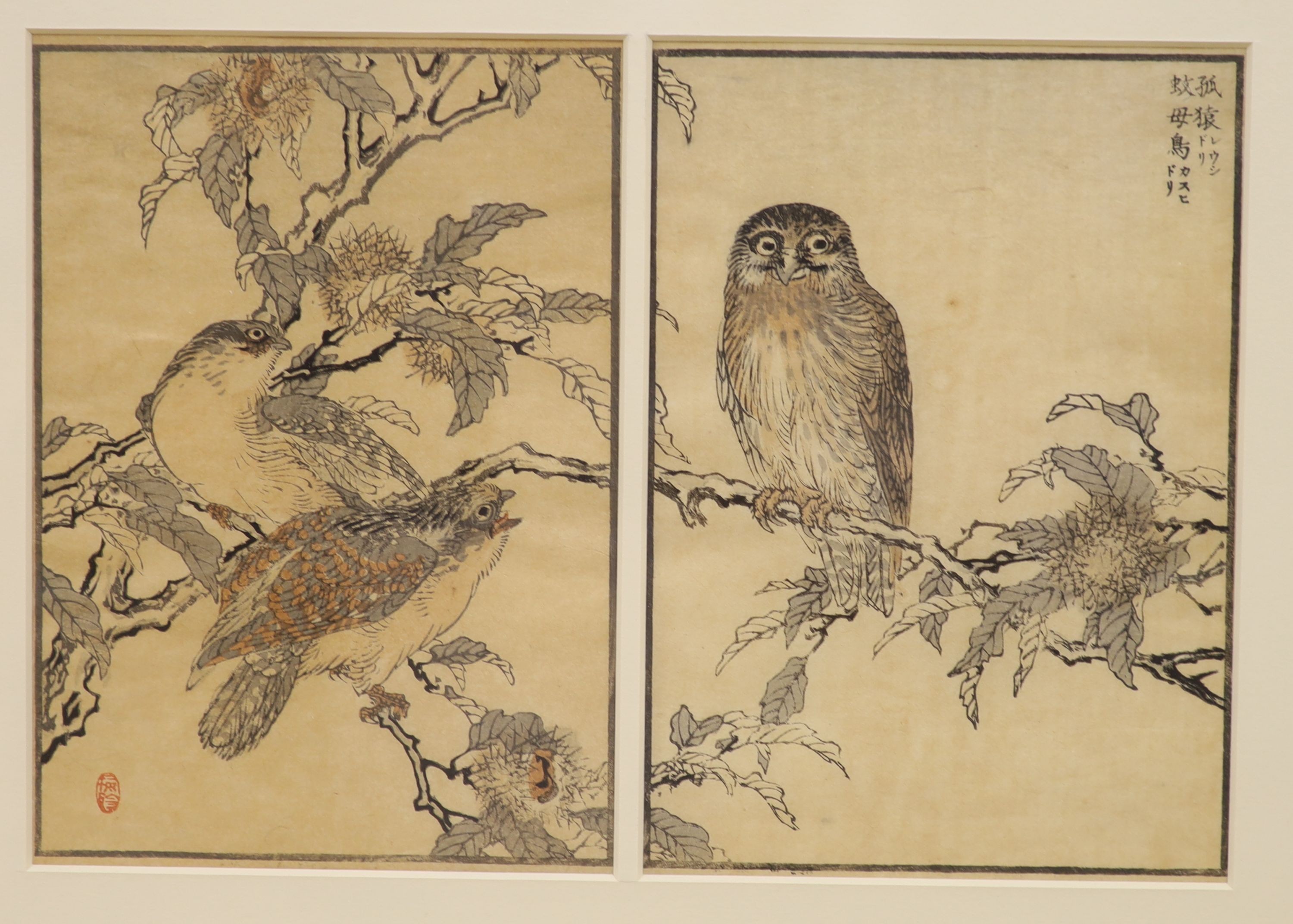 Kono Bairei (1844-1895), two woodblock prints, depicting birds amongst branches, 21 x 15cm.